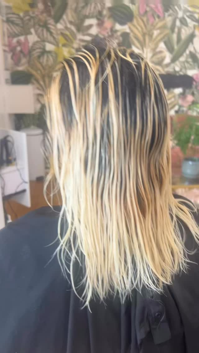 After a long stint of damaged hair, it was time for a refresh.
.
A big chop ✂️
.
.
#hairbybettina #sonomacounty #santarosahairstylist #shorthair