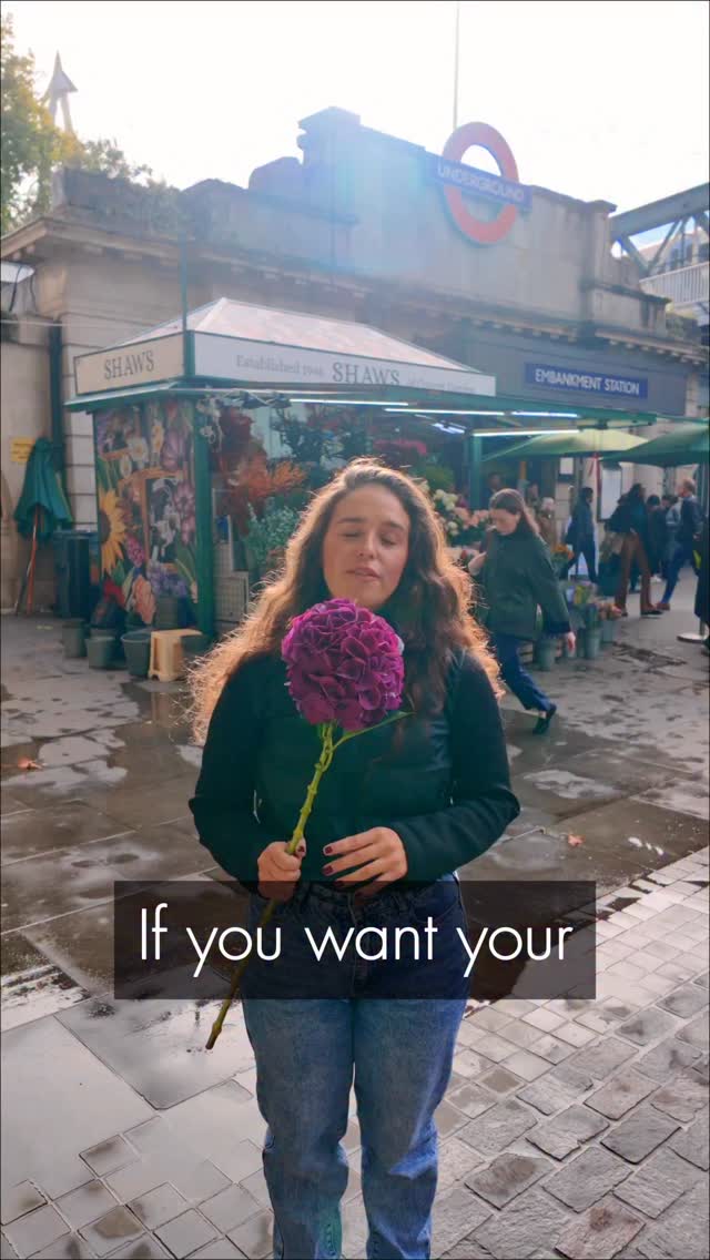 The best white and green wedding colour palette!
Here’s how to get Hailey Bieber, Audrey Hepburn & Kate Middleton level elegance 💍💐