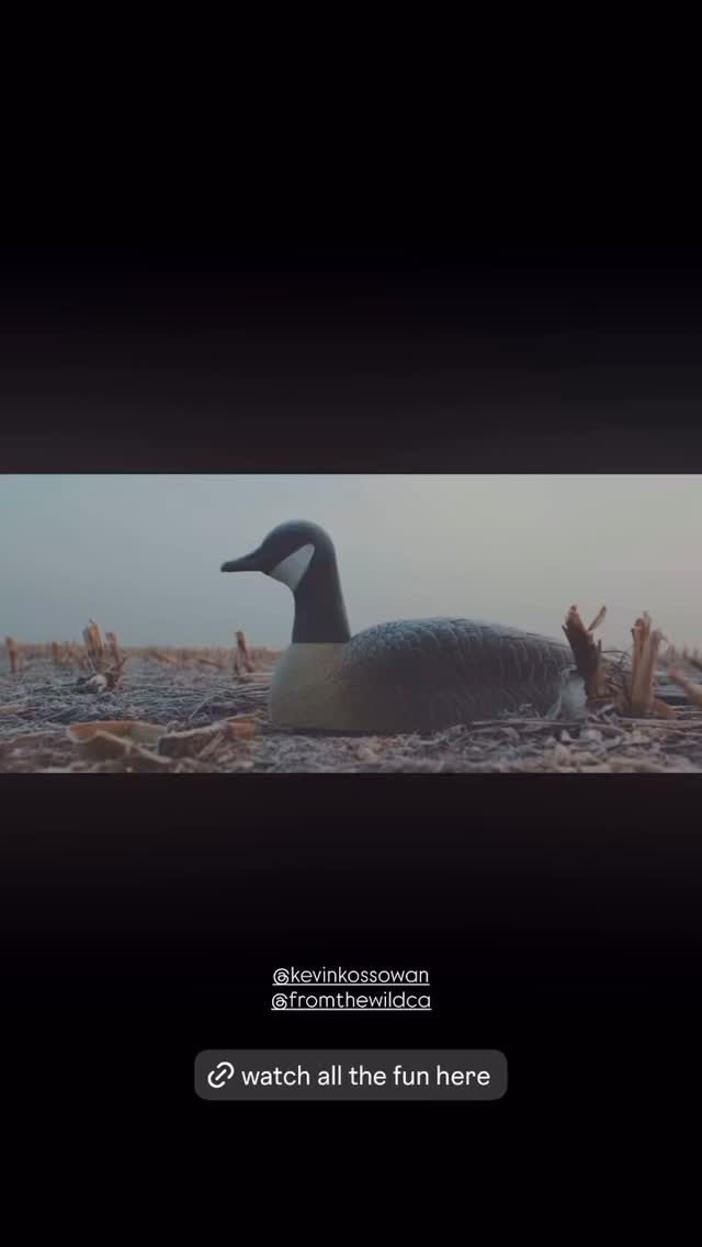 Coming in from all directions and running through multiple boxes of ammo. Haha.