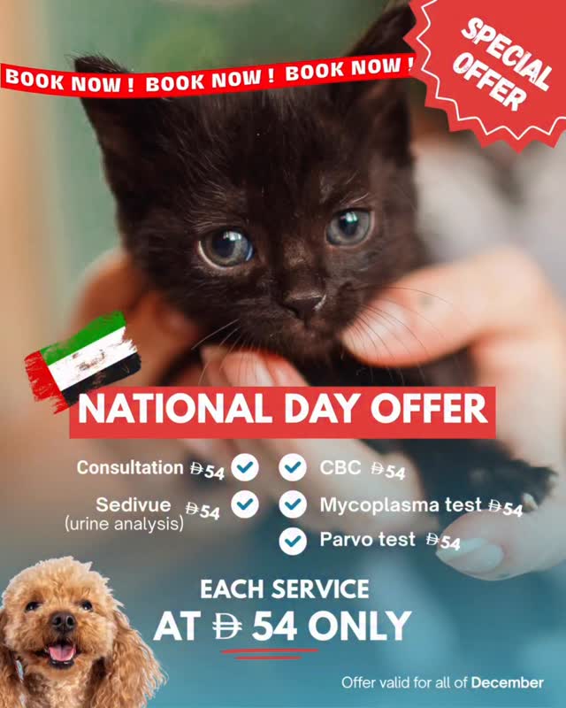 🇦🇪 A National Day gift from us to your cats and dogs! 🐾
Celebrate the 54th UAE National Day with a special offer on these services -
✅Consultation
✅ CBC
✅ Sedivue (urine analysis)
✅ Mycoplasma test
✅ Parvo test
Each service at AED 54 only!
Offer available all December.
☎️ Book now -
+971 4 283 7744
#uaenationalday #dubaivetclinic #dubaivet