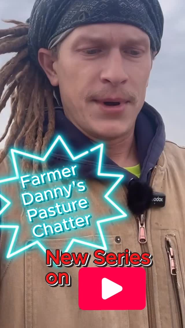 Started a new series on YouTube! YouTube.com/BluebirdSkyFarmstead
I started it last Thursday, the day Annaliese went into labor so I haven’t really had a chance to promote it yet! But yeah. There you go. Listen to me rant if you feel like it haha.
