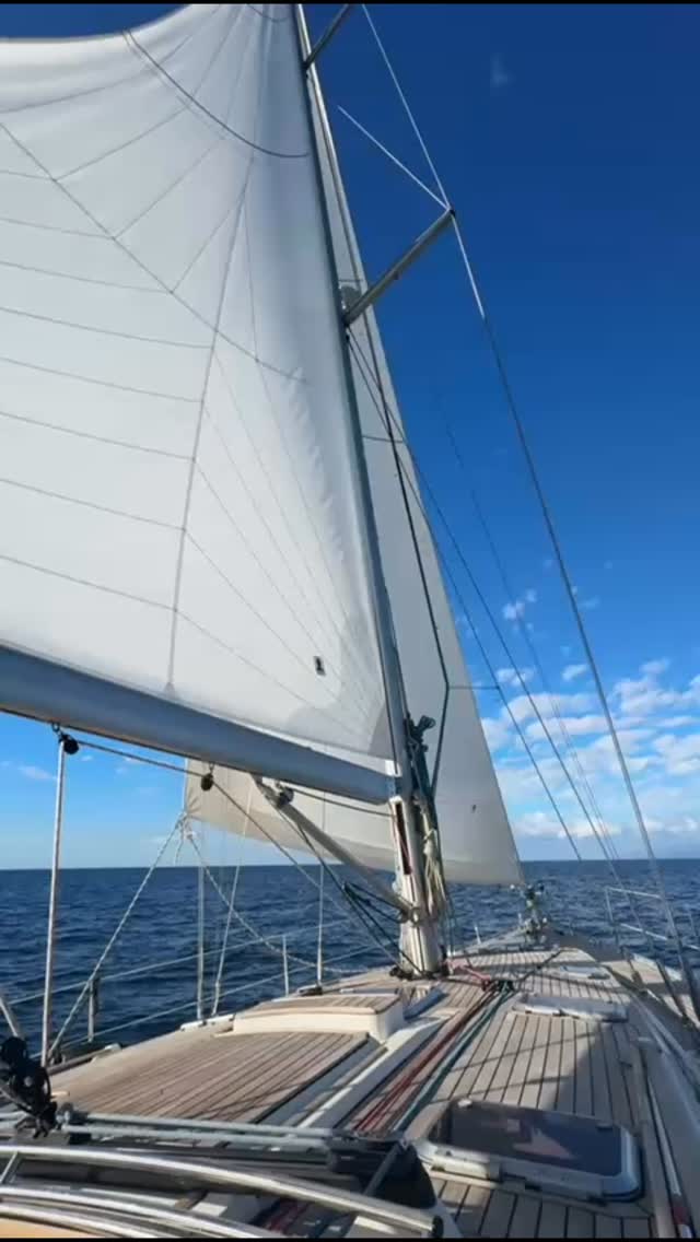 Sailing here means experiencing the island in its purest form: volcano, sea and freedom in a single view.
Have you ever seen it from a sailboat? ⛵️✨
#Tenerife #MountTeide #AtlanticOcean #CanaryIslands #SailingLife BlueJackSail SeaAndVolcano PureNature