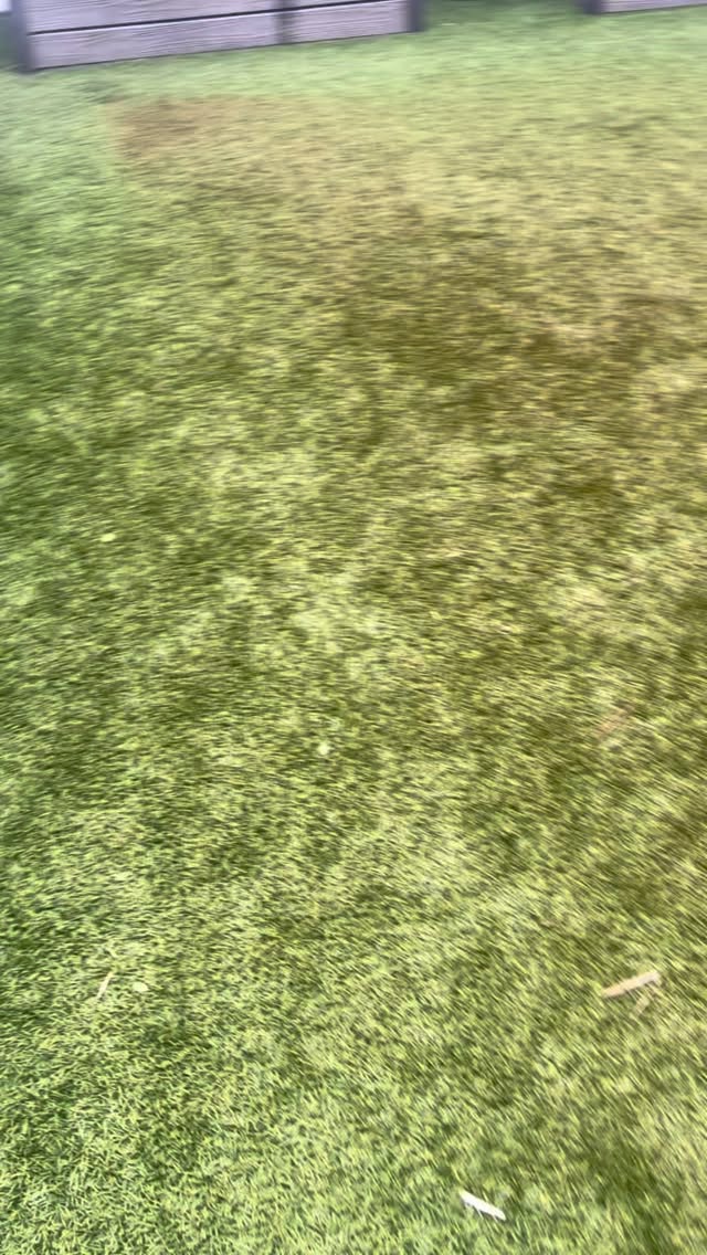 #beforeandafter #turfcleaning #pressurecleaning #disinfecting #detailing #roofcleaning #softwashing #pressurewashing #detailing #ceramiccoating #tnacleans #tnawedontplay call today for a free estimate 3053189961 www.tnacleans.com