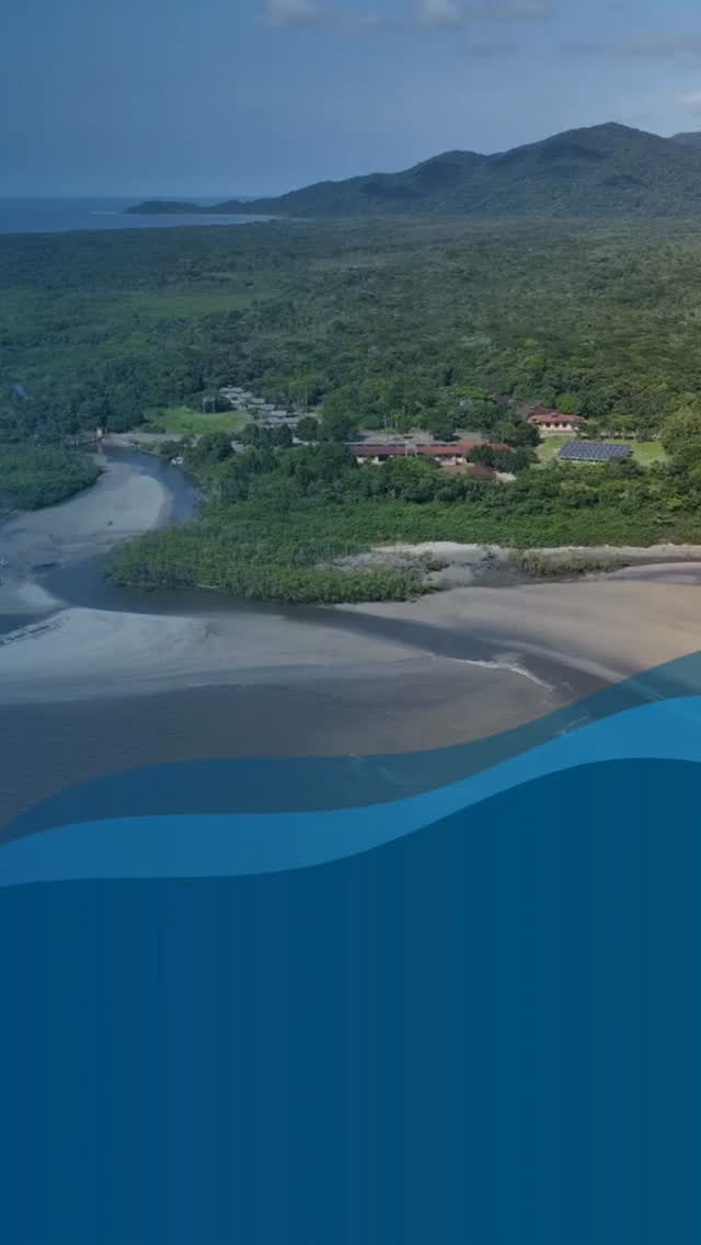 🌊 Quando o turismo comunitário fortalece a luta por direitos
No território tradicional caiçara Itacuruçá-Pereirinha, no Parque Estadual Ilha do Cardoso (SP), um antigo centro de pesquisa desativado ganhou novo sentido: virou referência em turismo de base comunitária, promovendo a visitação pública com o protagonismo da AMOIP, corresponsabilidade da Fundação Florestal e parceria do Instituto Linha D’Água.
O artigo científico “Gestão comunitária da visitação no Núcleo Perequê: um caminho de mobilização social e resiliência”, dos autores Natália Bahia (CGCommons/UNICAMP), Henrique Kefalás (coordenador executivo do Instituto Linha D’Água) e John M. Wojciechowski (gerente de Desenvolvimento Territorial do Linha D’Água), reconstrói essa trajetória - da leitura coletiva da proposta de parceria às negociações que garantiram um arranjo alinhado à visão da comunidade sobre uso público, qualidade de vida e permanência no território.
A experiência do Núcleo Perequê mostra, na prática, que conservação baseada em direitos humanos passa por reconhecer povos e comunidades tradicionais como aliados centrais da gestão das áreas protegidas – e não como figurantes.
👉 Leia o artigo completo no blog do Instituto Linha D’Água e saiba mais sobre esse caminho de mobilização social, resiliência e fortalecimento de direitos territoriais.
🔗 https://encurtador.com.br/wSBm
#PovosDoMar #ParceriaPúblicoComunitária #IlhaDoCardoso