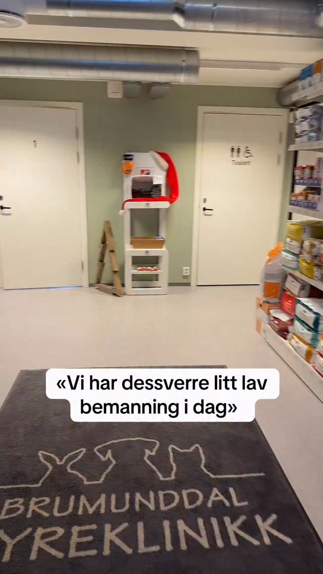 Bemanningen er lav, men effektiviteten er skyhøy 😎