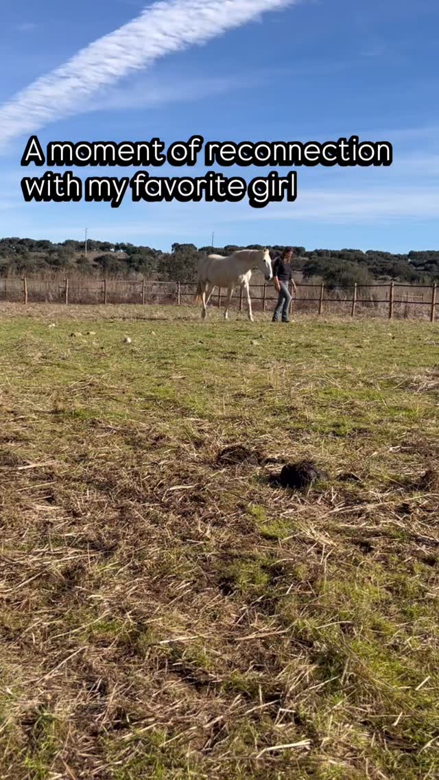 One of the most sensitive horses I’ve ever known 🤍.