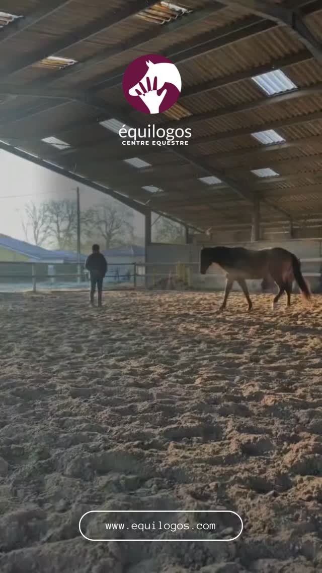 Connexion matinale, flexibilité mentale et physique, par Antoine.