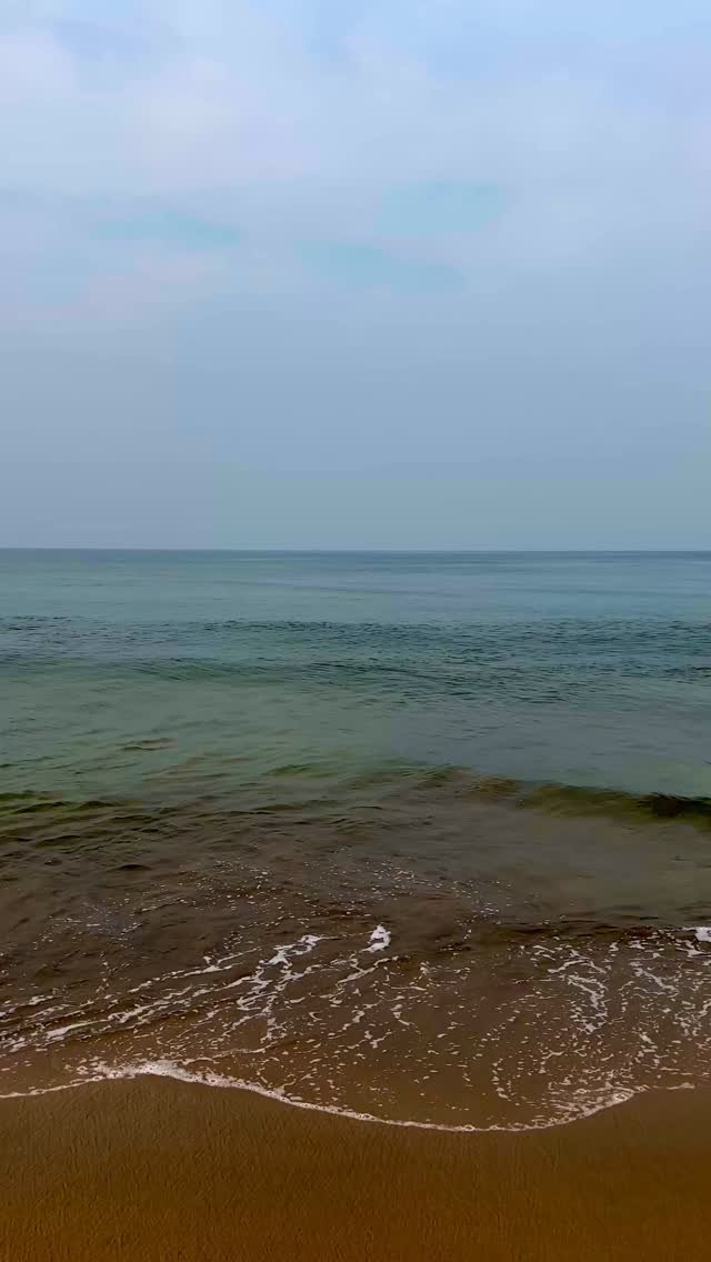 A little Goa magic today. I ended up spotting dolphins out of nowhere. What a moment 🐬
#goa #dolphins #beachlife #beachmagic #travelreel