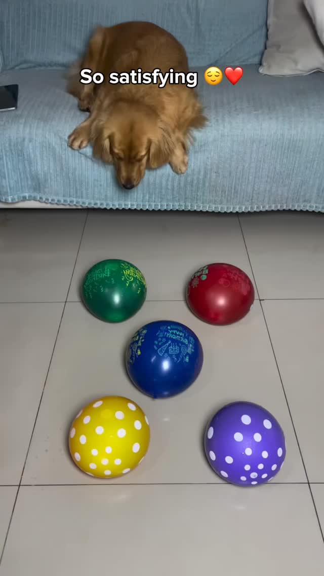 The sound is so satisfying 🥰
Credit: @poprealm_x
#art #job #remotejob