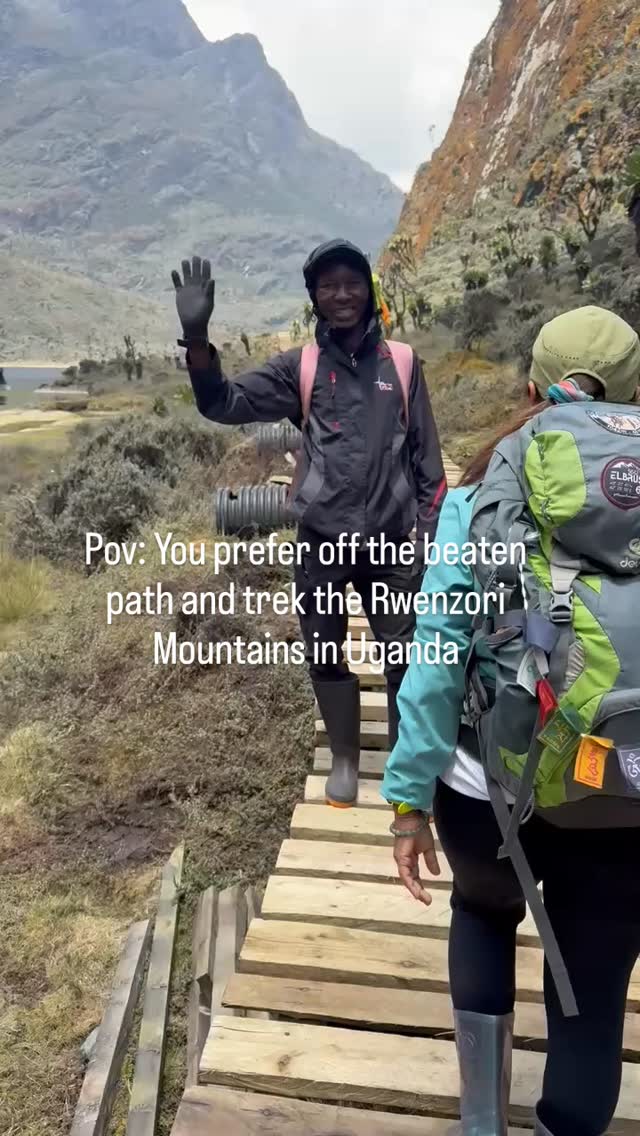 Off the beaten track in den Rwenzori Mountains, wo Nebelwälder, Moorlandschaften und alpine Peaks aufeinander treffen. Unser 7-tägiges Rwenzori Trekking führt dich genau dorthin. Bist du ready für echte Wildnis?
📅 Jetzt anmelden - die Platzzahl ist limitiert
💚 Link in Bio für alle Details und zur Buchung
~~~~~~~~~~~~
Hors des sentiers battus dans le Rwenzori, entre forêts brumeuses, marais et sommets alpins. Notre trekking Rwenzori t’emmène exactement là. Prêt·e pour la vraie nature?
📅 Annonce-toi maintenant - les places sont limitées
💚 Lien dans la bio pour tous les détails et la réservation
#brickstravels #travelmore #trek #trekking #rwenzori #uganda