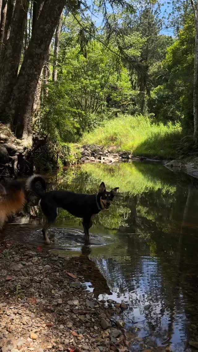 Thursday (last week, better late than never I guess) ps reign and Betty boo are the cutest bestie ever
