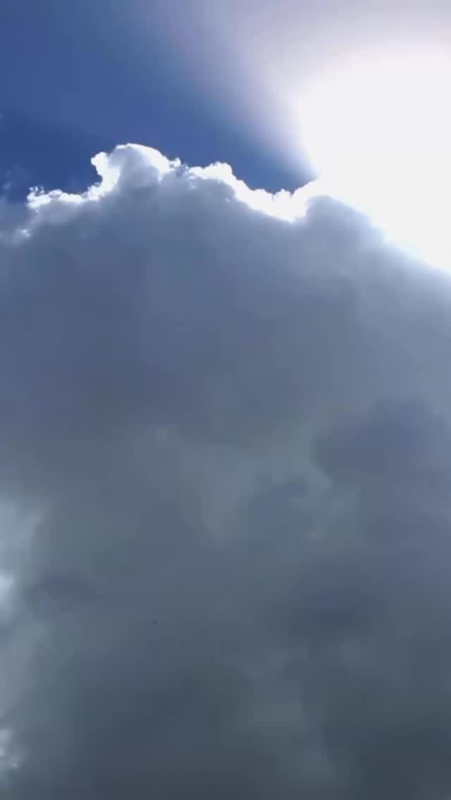 Sagittarius Season — The Fire of Freedom Returns
After the depths of Scorpio, Sagittarius Season arrives like sunlight after the storm — bold, bright, and hungry for truth.
This is the energy of expansion, adventure, and faith. Sagittarius asks us to lift our gaze beyond what we know and remember that life is a journey meant to be lived, not controlled.
Ruled by Jupiter, planet of growth and wisdom, Sagittarius reminds us that the world is our classroom. Every experience — even the messy ones — is a teacher.
Now’s the time to explore, question, and follow what sparks your spirit.
*Where have you outgrown your comfort zone?
*What beliefs are ready to evolve?
*Where are you being called to take a leap of faith?
This season wants honesty — not perfection. It’s about aligning with your why, reconnecting with joy, and seeing your story from a higher view.
Say yes to the wild unknown.
Book the trip. Start the project. Speak your truth.
Let curiosity guide you — it knows the way.
Because Sagittarius doesn’t promise certainty — it promises possibility.
Mantra: “I follow what expands me. I trust the journey and the wisdom it brings.”
#SagittariusSeason #Sagittarius #Astrology #FireSignEnergy #Expansion #Faith #Adventure #AstroInsights #JupiterVibes #CosmicWisdom #SpiritualGrowth #empyrealastrology