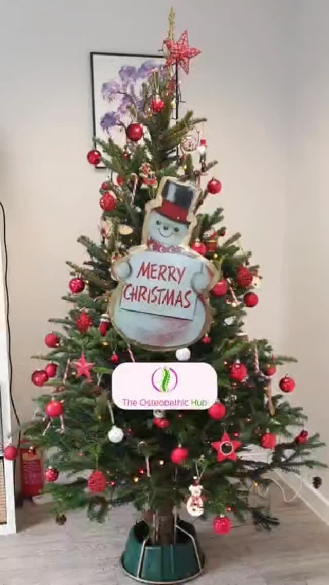 ✨ The Christmas season has officially begun at The Osteopathic Hub… 🎄
And once again, we chose our Christmas tree locally at Cirencester Christmas Tree, and it brought us so much joy to prepare the clinic for the festive season.
From picking the tree…
to choosing each decoration…
to creating a warm, peaceful atmosphere inside the Hub —
everything was done with care for our clients and our community.
One of our favourite parts is the natural scent of the tree.
It fills the clinic with a gentle, fresh fragrance that still lingers —
bringing a sense of nature, calm and grounding into the space.
If you’re looking for a meaningful Christmas gift,
our Wellbeing Gift Vouchers are now available.
A gentle, thoughtful present for someone you love. 🎁
Wishing you a calm and joyful Christmas —
and a special thank you to Cirencester Christmas Tree
for helping us bring a little festive magic to the Hub again this year.
👉Follow us to understand your body better...
The Osteopathic Hub for you and your family!
📍 The Osteopathic Hub, 1a The Woolmarket, Cirencester, GL7 2PR
#CirencesterChristmas #CirencesterCommunity #CotswoldsLife #ChristmasInCirencester
#CirencesterBusiness #SupportLocalBusiness #ChristmasTreeFarm #TheOsteopathicHub
#WellbeingCotswolds #HolisticHealthUK #MassageVoucher #ChristmasGiftIdeas
#FestiveSeasonUK #MindBodyBalance #HealthyLivingUK #CotswoldsWellbeing
