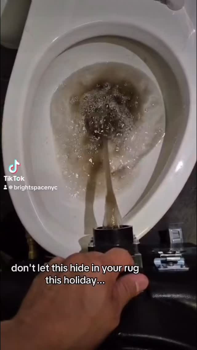 This should NOT be living in your carpet
If this is what comes out, imagine what stays trapped underneath...
Time for a real deep clean, not just a vacuum.
#CarpetTok #DeepCleanSatisfaction #DirtyWater #CleanTok #FloorReset