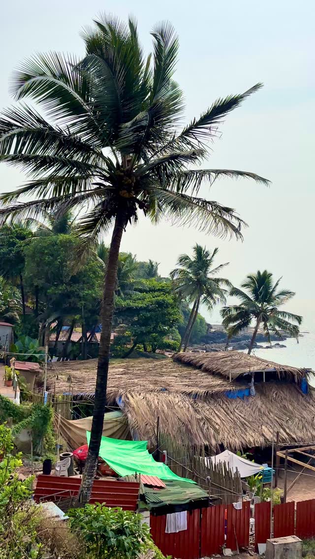 Beach-hopping across Goa and soaking in Anjuna’s striking shoreline 🌊
#Goa #freedom #beach #AnjunaBeach #SoloTravel