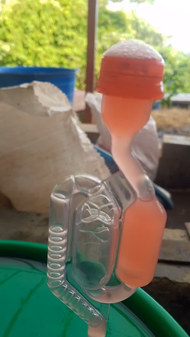 🔬 We’ve got new ideas fermenting, and our current anaerobic & fruit ferments are already off the charts! Always emphasizing fruit and floral notes. What’s your favorite coffee of all time, and what was its specific process? 🌹
🤝 If you’re a roaster seeking a long-term business relationship with the specialty coffee farmers who farm your beans, reach out!
🔗 Click the link in our bio or DM our farming group. We ship almost anywhere on pallets.
#greencoffee #specialtycoffee #nicaragua #naturalprocess #honeyprocess #thirdwavecoffee #anaerobiccoffee #pacamara #directtrade #directtradecoffee #woc #coffeeprocessing #sustainablecoffee #biodynamiccoffee #coffeeroaster #coffeesorting #coffeeroasting #coffeefarm #sampleroasting #goldmtncoffee #besocialbegold #coffeefermentation #carbonicmacerationcoffee #nicaraguancoffee #worldofcoffee #yellowpacamara #yeastcoffee