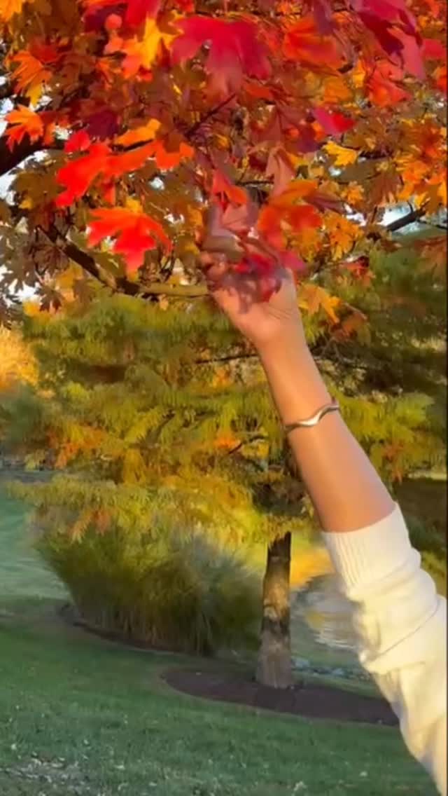 Fall is here and that means our holiday scents are ripe for the picking! Official drop tomorrow! #bodybutter #shopsmall #bodycare