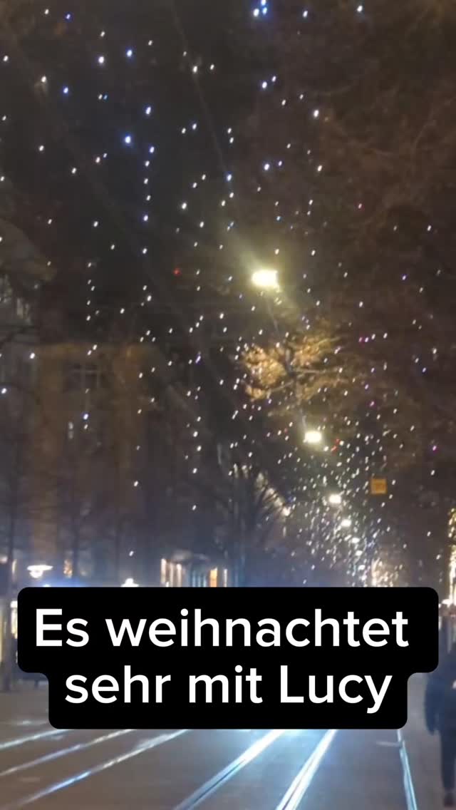 Es weihnachtet sehr in Zürich mit den Märkten und Lucy. Happy Weekend ❤️