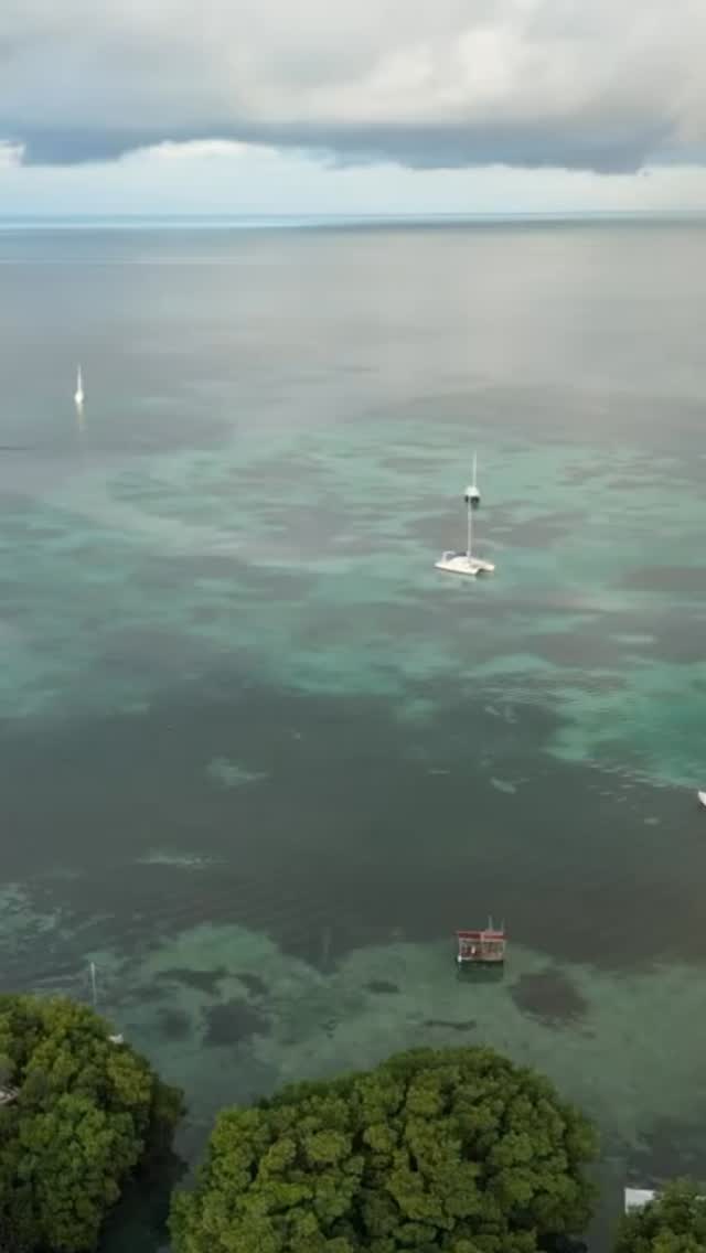 The Path Belize 2026 is officially LIVE for bookings! This is your chance to slow down, reset, and immerse yourself in pure island magic. 🌴 ✨
•
Join us from June 11–15, 2026 for 5 dreamy days on Caye Caulker… white sand, turquoise water, delicious food, deep connection, and the ultimate soul recharge!
•
Shared and solo rooms available. We cap at 14 guests and 2 spots are already gone!
•
If Belize has been calling your name, this is your moment… come follow your path! 🌊✨
•
#thepathbelize #thepathretreats #followyourpath #wellnessretreat #belizeretreat #cayecaulker #travelwell #mindfulmovement #islandlife #retreatyourself #belize2026
