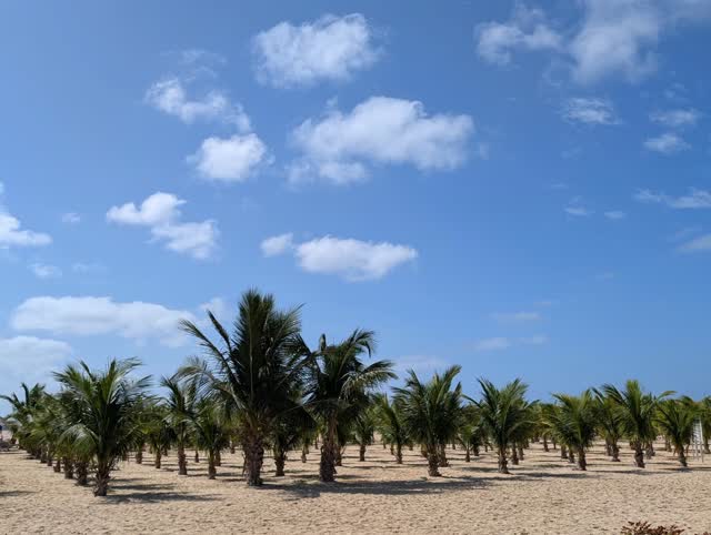 Best. Sunday. Ever.
#sundaymood☀️ #caboverde🇨🇻