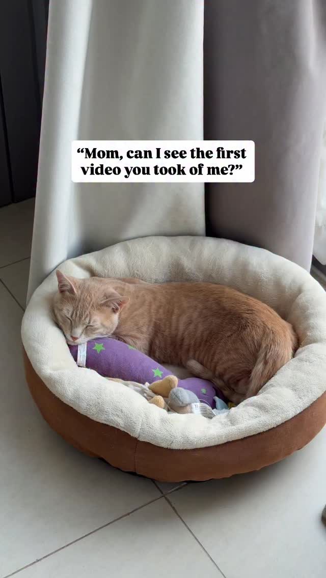 and just like that, they become adults 🥹🐾
@mikesvetdxb