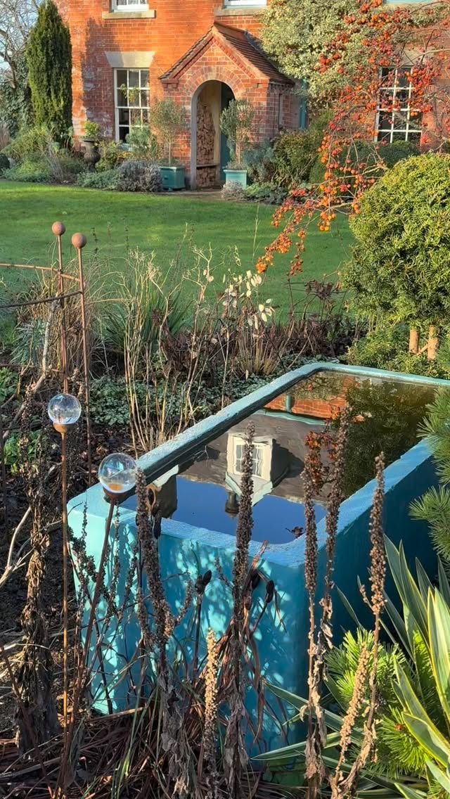 Use full jobs in the garden this week.
I do all the day to day gardening but call in experts for particular jobs - this week the time was right for tree surgery and pool cleaning.
A couple of our multistem trees - Cercidiphyllum japonica (Katsura) and Juglans Regis (walnut) need to be kept in scale with the space and it is important to do this regularly to keep them natural looking, and between leaf fall and new sap rising (when the cuts may weep).
Our wildlife pond hadn’t been cleaned out since its creation 12 years ago. At this time of year amphibians have left the pond to hibernate and the original water and oxygenates weed were returned. Gradually it’ll become clear again. The residue went to nourish the wilder borders.
Thank @johnsonsarboristltd and @pond_cleaning_wiltshire.
#englishcountrygarden #wintergarden #gardenjobs #treesurgery #wildlifepond