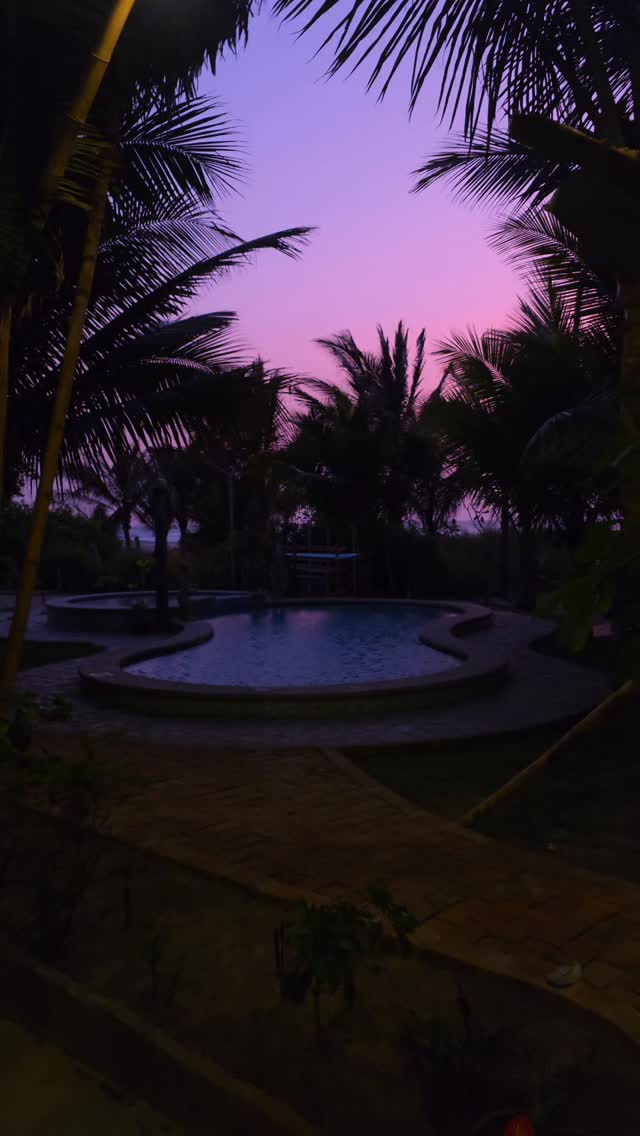 Life at coconut. No filter needed