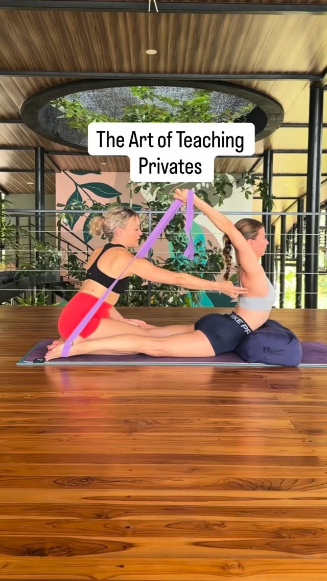 Burnt out from teaching endless classes just to survive financially?
Private sessions changed everything for me — giving me freedom, clarity, and the ability to create a career I truly love.
I’m teaching this online course with Magda @magdagebertjoga , who has also built a thriving business through private teaching. Together, we’re sharing everything we’ve learned about teaching one-on-one with confidence, both online and in-person.
You’ll learn to read bodies, adapt sessions to each person’s needs, problem-solve creatively, cue and assist with clarity, and apply flexibility and mobility strategies that actually work.
The course starts February 10th. Spaces are limited, so apply now to secure your place and take your teaching to the next level.
❤️
To find out more see@the link in my bio or send me a DM ❤️
#teachingprivates #theartofteaching #theartofteachingprivates #flexibilitytraining #mobilitytraining #howtoworkwithprops #yogateacher #movementcoach #yogateachertrainingcourse #backbendtraining