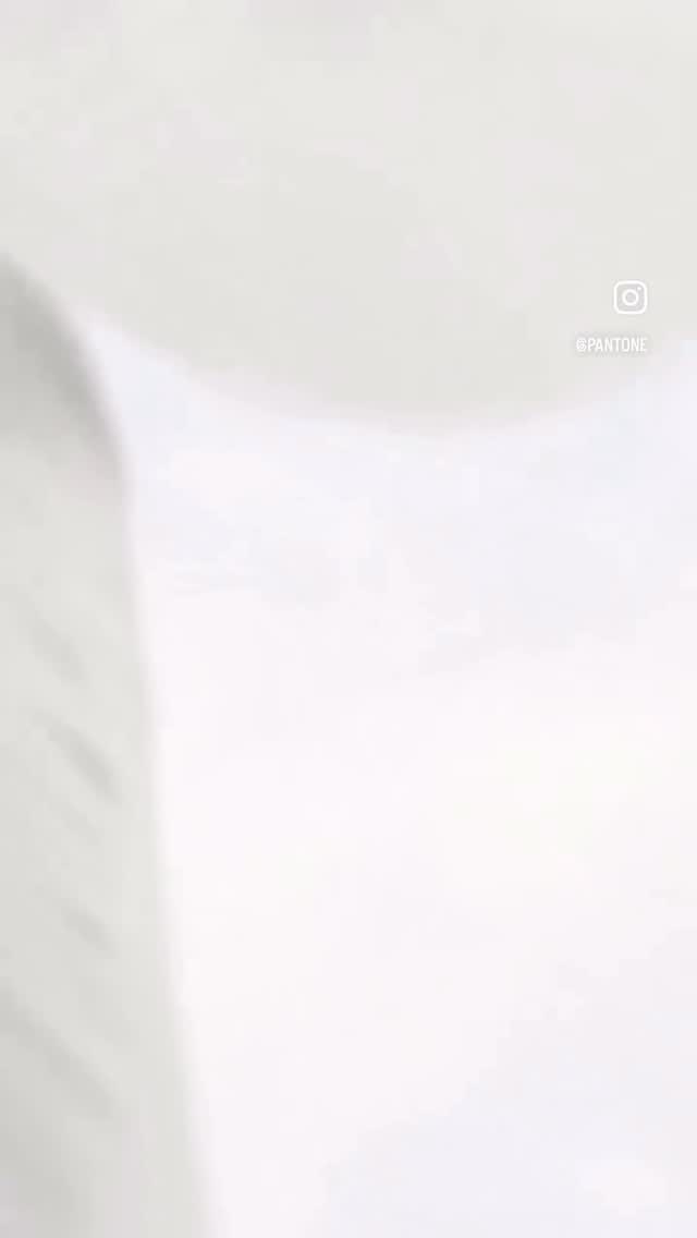 Introducing the Pantone’s Color of the Year 2026: Cloud Dancer ☁️🪽
A lofty white neutral whose aerated presence acts as a whisper of calm and peace in a noisy world, Cloud Dancer symbolizes a calming influence in a society rediscovering the value of quiet reflection.
We are excited to see this color infused into your spaces in 2026, offering peaceful moments and blank spaces for creativity to come to life.
#pivotinteriors #pantone #coloroftheyear2026 #clouddancer #interiordesign | Video: @pantone