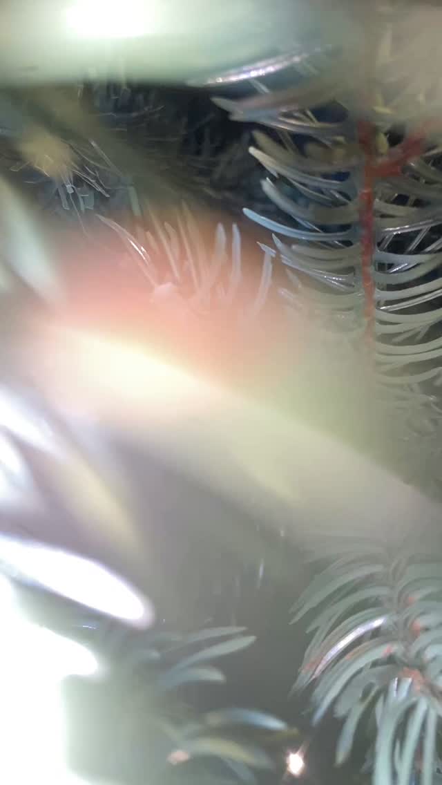 🎄✨ La magie du sapin de Noël ✨🎄
Chaque année, la tradition du sapin de Noël nous rassemble autour d’un moment précieux : celui où l’on décore, où l’on rit, où l’on partage. 🌟
Entre les guirlandes lumineuses, les boules scintillantes et les décorations soigneusement choisies, le sapin devient bien plus qu’un simple arbre… Il devient le cœur de la maison, un symbole de chaleur, de joie et de magie. ❤️
Que vous le décoriez en famille, entre amis ou seul(e) avec une tasse de chocolat chaud, ce petit rituel rappelle que Noël, c’est avant tout le plaisir de créer du beau et de faire vivre les traditions.
✨ Et vous, votre sapin est-il déjà prêt à illuminer votre intérieur ? 🎁🎄
#noel #christmas #sapin #sapindenoel