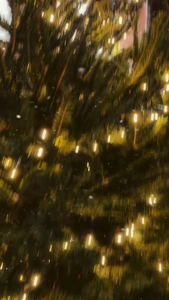 Aujourd’hui, l’équipe s’est réunie pour décorer le sapin du studio… et la magie a opéré !
Des rires, du partage, un moment simple mais précieux qui reflète exactement ce qu’on aime : une ambiance familiale entre collègues, bienveillante et créative. ❤️
Merci à notre belle équipe de Montpellier qui fait vivre le studio chaque jour, avec passion et bonne humeur.
La saison des fêtes peut officiellement commencer !
#StudioClotis #Montpellier #EspritDeNoël #AmbianceStudio #dreamteam #Noël2025 #BehindTheScenes #GoodVibes #ShootingDay