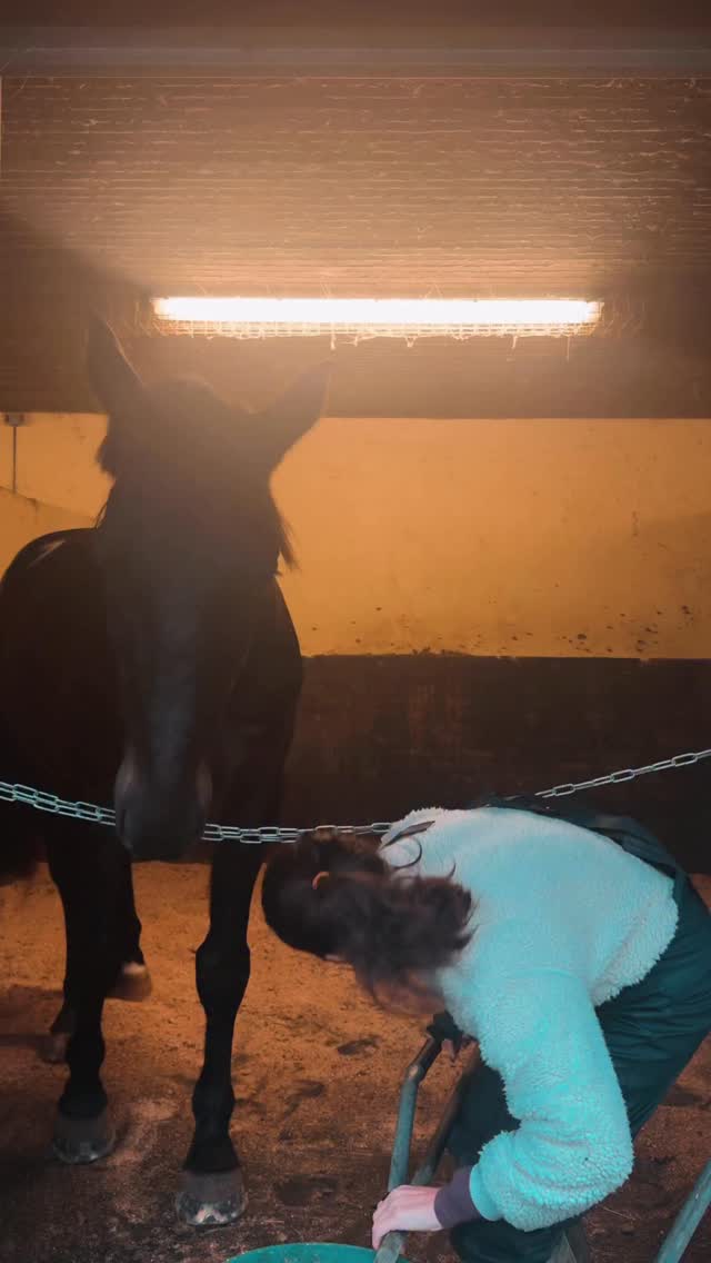 Special moments with the big guy 🖤
I now know it’s not just riding that brings me joy it’s caring for, connecting with and being around these incredible creatures.
As always I feel so blessed to have them in my life.
Change is coming but this will be a place to come to stay grounded throughout.
#slowliving #countrysidelife #equestrainlife