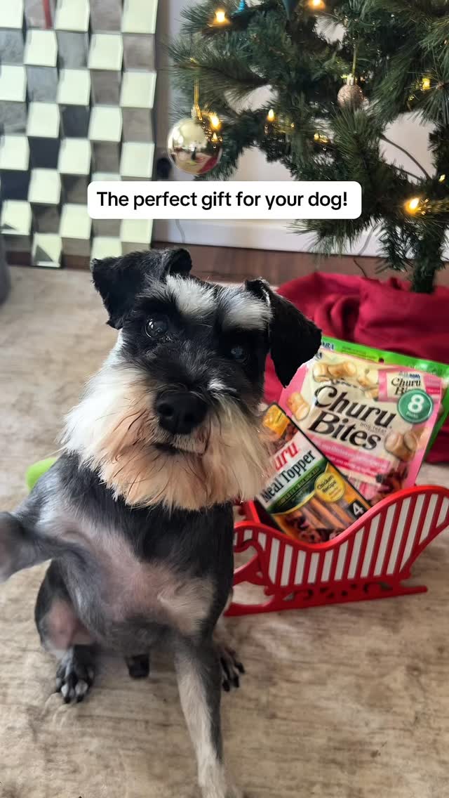 Your sign to build your dog their own Christmas sleigh this year!
Filled with Churu treats, toys, and festive joy, because they deserve to be spoiled like the best gift they are.
Santa Paws approved đ
#ChuruChristmas #SpoilThatPup #TreatsAndToys