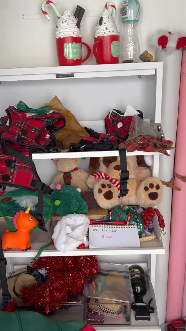 Huge thank you to @petswithpamhartphotography for this year’s Christmas photo shoot! We had an absolute blast, the dogs posed, zoomed, drooled and somehow still looked better than all of us.😅
We can’t wait to see the final shots. Once we receive the viewing link, we’ll send it out to everyone, expect that early next week.
Thanks again Pam, you were incredible! 🎄📸🐾
#GoldCoastDoggyDaycare #DoggyDaycare #DogPhotoshoot #ChristmasPhotoshoot #PamHartPhotography #DogPhotography #GoldCoastDogs #DogsofInstagram #DogLovers #PetPhotography #DogDaycareLife #GCDogs #PuppyLove #ChristmasDogs #FestivePups #DogLife #PetParents #FurryFamily #HolidayPhotos #CuteDogs