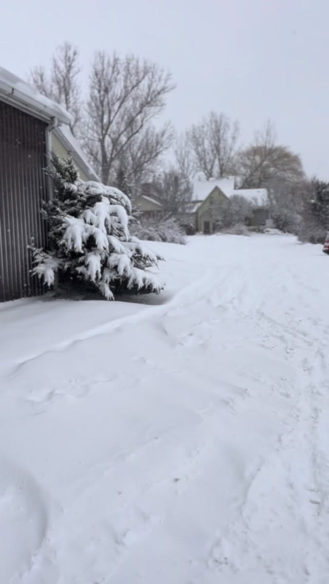 Just living in our little snow globe ❄️☃️🦄✨
#tufftherapeuticridingfoundation #ontariowinter #simcoecounty
