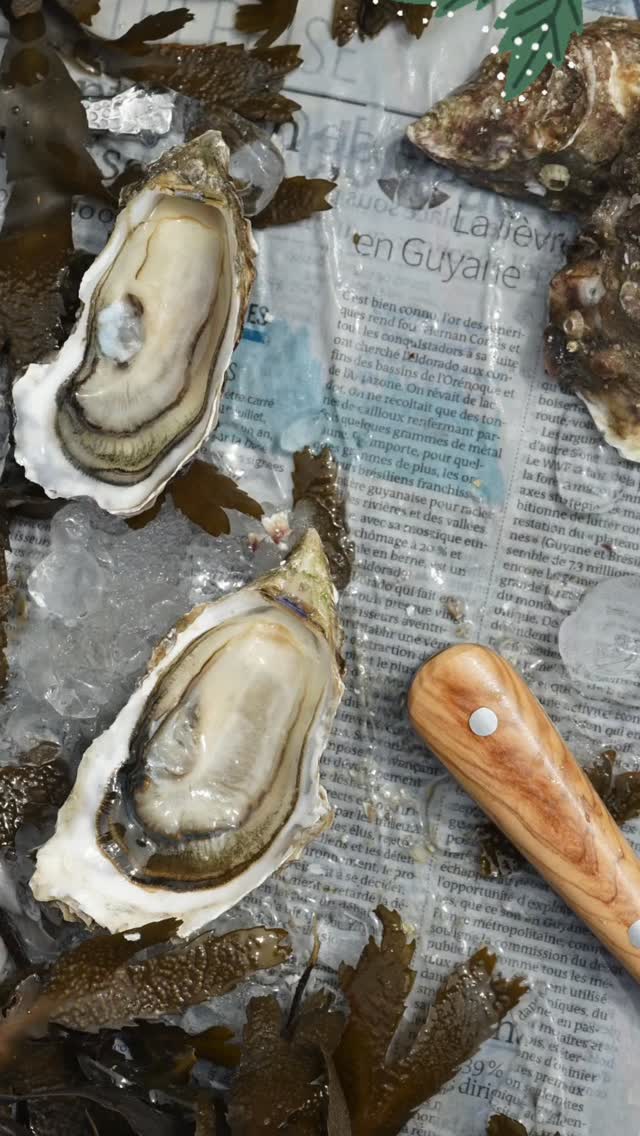 Une dégustation familiale inédite : nos huîtres et la première cuvée de la famille réunies. Deux terroirs incomparables, à découvrir si vous êtes dans les environs.