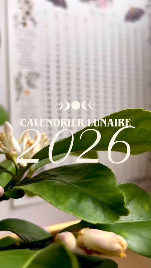 Le Calendrier lunaire 2026 est sur la boutique !!! 🌙 et cette année, j’ai mis de la couleur 💜
Le calendrier Lunaire te sera utile pour suivre les différentes phases de la lune au fil de l’année.
La lune a une influence selon sa phase sur plein de choses… ça passe par le jardinage, quand et comment semer selon la phase de la lune 🌱ton cycle menstruel 🩸, l’émotionnel ♥️, le physique 🦵ou le psychique 🧠, la mer 🌊, la naissance aussi… je te donne quelques éléments en sur le calendrier pour chaque phase principale 🌖
Tu peux te caler sur la Lune pour tes petits rituels et poser des actions, une demande, ou encore une réflexion, juste en fonction de son influence.
Et puis en plus, ça fait une belle affiche à accrocher à la maison 🌝
Commande vite ton calendrier lunaire, sur ma boutique www.fleure-bleue.com (lien en bio)
⚠️ Les sont vente éphémère 🌔🌓🌕🌓🌒🌑
#calendrierlunaire #lune #cyclelunaire #cyclemenstruel #lune #femmelunaire #calendrierlunaire2026