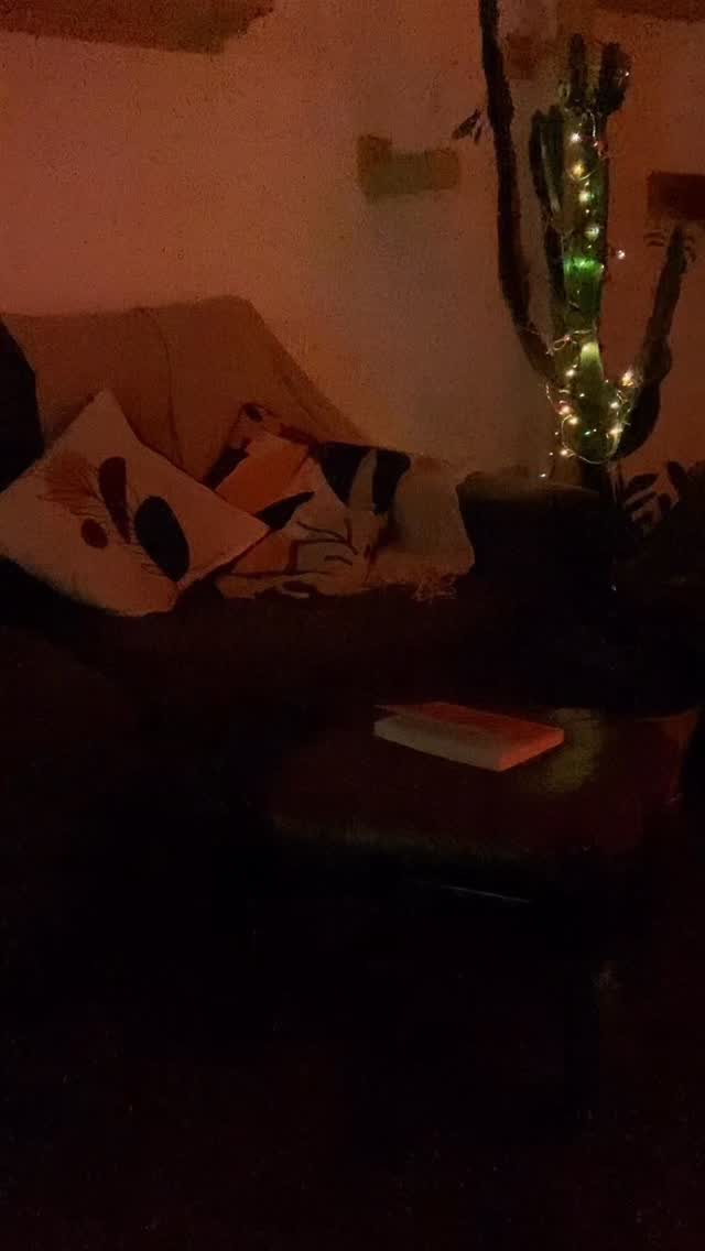 ✨ Quando foi a última vez que realmente parou para se nutrir de algo que faz bem ao corpo e à mente?
Para você pode ser só uma kombucha…
pra mim é pausa, é clareza, é leveza, é conexão!
Tomar minha @lichkombucha favorita enquanto leio virou um ritual mais especial, que venho nutrindo ao longo do ano e seguirei firme com essa meta. 🙏🏻
Já sabemos que nossas escolhas mudam o jeito como começamos o dia, o mês, o ano.
Mas, às vezes, esquecemos que não existe momento perfeito, só o AGORA!
Estamos tão preocupados com tudo que existe do lado de fora que não percebemos a urgência de desacelerar e olhar para dentro!
Dezembro chegou, e escolhi começar com uma nova leitura, indicação da querida @a.nina.sa 🫶🏻
Ainda dá tempo de parar, voltar pra si, respirar e se nutrir com o que te faz bem!