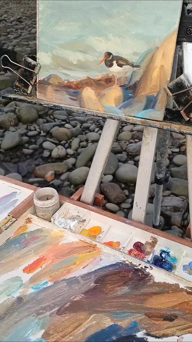 Oystercatcher on a cold beach, I really enjoy the light at this time of year, despite the cold it's my favourite time of year to paint!