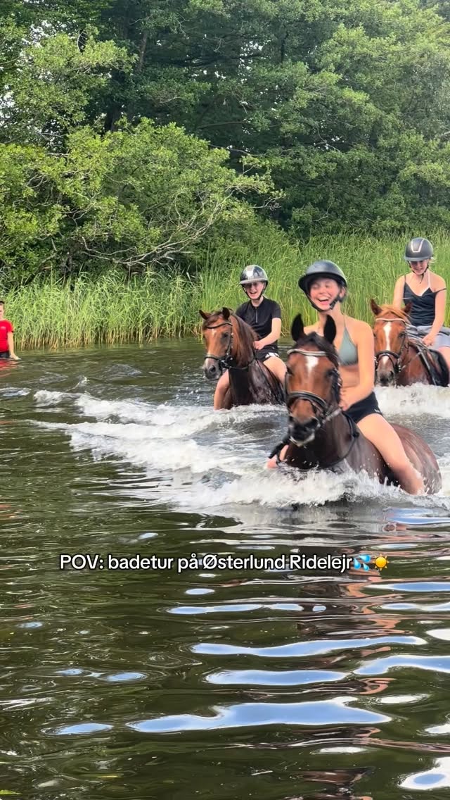 Skal du med på den SJOVESTE badtur til sommer?🥳🦄✨ Vi har lige nu ledige pladser i uge 28 og 29 med egen medbragt pony/hest. Læs mere på vores hjemmeside. Alt udsolgt i uge 27🩷 #østerlundridelejr #danmarkssjovesteridelejr