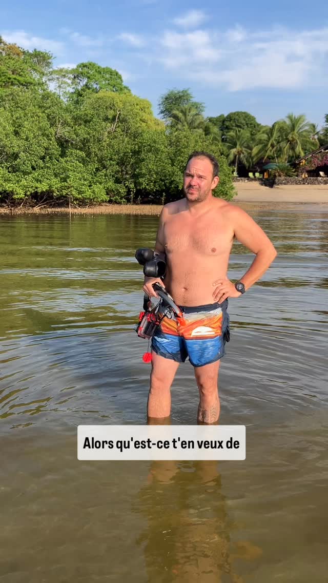 Chaque année nous organisons un voyage en petit groupe dans un centre privatisé a côté d’une fôret primaire
#moramoratravel #sakatialodge #citizenscience #moramoradivers
www.moramora.ch