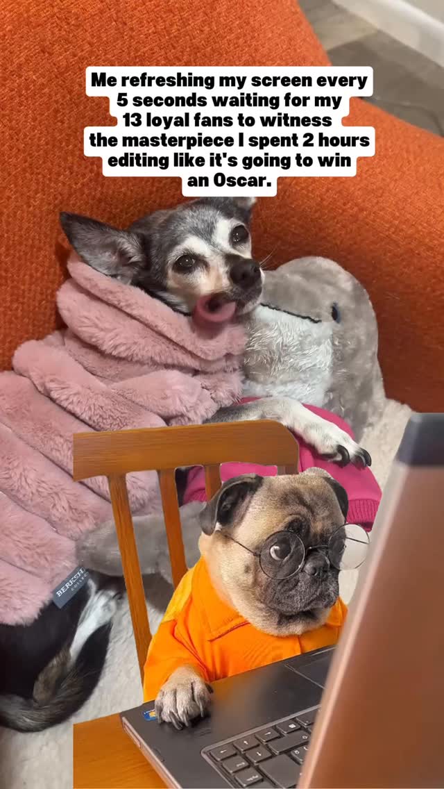 🤣🤣Join us at DOGAROOO — the Ultimate Dog Convention! 🐾🐕🐩
Mark your calendars 🗓️ March 6–7, 2027 at the @pasadena_conventioncenter in Pasadena, CA! This is the can’t-miss event for dog lovers everywhere. 🐶✨
Here’s what you & your pup can look forward to:
✨ Vendors & Sponsors with treats, toys, food & must-have products
🎓 Meet & learn from some of the world’s top dog trainers
🏡 On-site adoption area in partnership with local shelters ❤️
👑 Dog costume contest + “Best in Show” competition
🌳 Dog park, pet games, dog art, fashion and fun for the whole family
Our mission at Dogarooo Convention is simple: create the ultimate experience for dog owners while helping pups across California find their forever homes. 🐾
🐕💼 Interested in sponsoring or booking a booth? Email us through the link in our bio today!
📍 Pasadena Convention Center
📅 March 6–7, 2027
#Dogarooo #DogConvention #pasadenadogs #DogParents #DogsOfInstagram #amazonpets #amazondogs #convention #conventions #rescuedogsofinstagram #dogevent #dogreels #doginfluencer #doginfluencers #doginfluencersofinstagram #dogtoysofinstagram #petexpo #funnydogvideos #dogtraining #dogtrainers #funnydog #losangelesdogs #cutedog #doginfluencersofinstagram #funnydogreels #funnydog #funnydog #dogmeme #dogs #funnydogmemes #chihuahuas #rescuedogs #seniordog