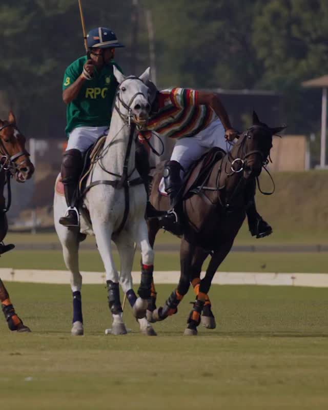 MOVE OF THE DAY ft. @pachojaipur
#jaipurpoloteam #rajasthanpoloclub
🎥 @penera__