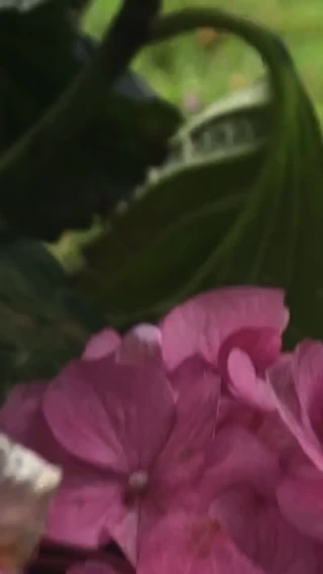 Envision your next event at The Cottage. Call or text to schedule a tour to see it in person and to secure your date. (253) 381-8223
Visit us online to see more about us.
eventsatthecottage.com