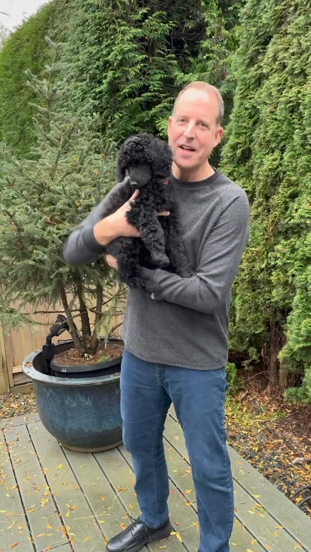 Welcome to our newest team puppy! Rhubarb 🐕🦺!
Would love to connect with you on putting a beautiful winter program together. Have a great week :)