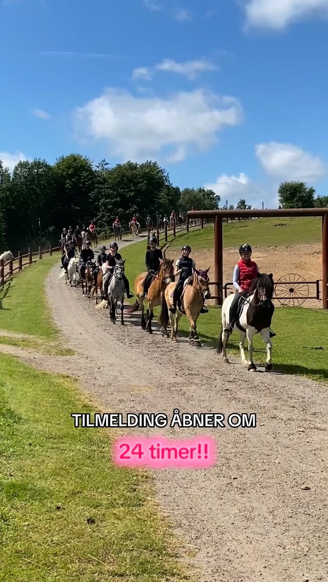 Tilmelding åbner i morgen kl 13:00🥳🩷 #østerlundridelejr #danmarkssjovesteridelejr
