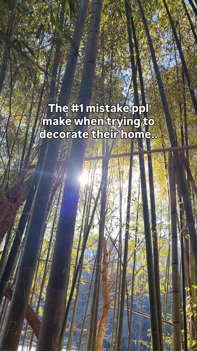 Moving in is so much fun UNTIL 😬…you realize you need to fill it with furniture, and art, and a cohesive vibe..
Like, HOW?! 🤯
Don’t panic..it starts with just noticing what speaks to you.
So follow some artists and interior designers so you can build that muscle while you scroll! 💪🏼😉
I’m curious, what else stops you from decorating your home? Tell me in the comments!
#appalachianartist #interiordecorart #sellingartonline #emergingcollector #decorateyourspace #decorateyourwalls #decotip #freeadvicefriday #iamanartist #originalartwork #inspiredbynature_