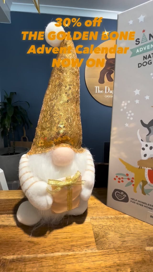 Your dog called… they said the Golden Bone Advent Calendar is 30% off and you need to get on that ASAP 🎄🐾
#thegoldenbone #thegoldenbonebakery #dogadventcalendar
www.dapperdoggrooming.com.au/shop