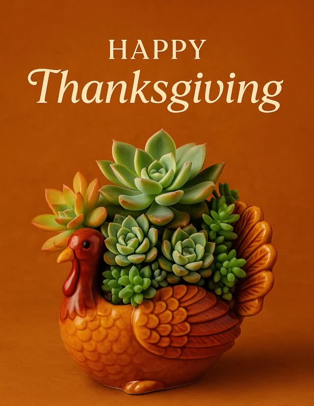 🧡🦃 Happy Thanksgiving!
Wishing you a cozy, joyful day filled with gratitude, good food, and the people who make your heart full. I’m truly thankful for all the support this year! 🍂✨ #BloomingSucculentsStudio #thankfulheart