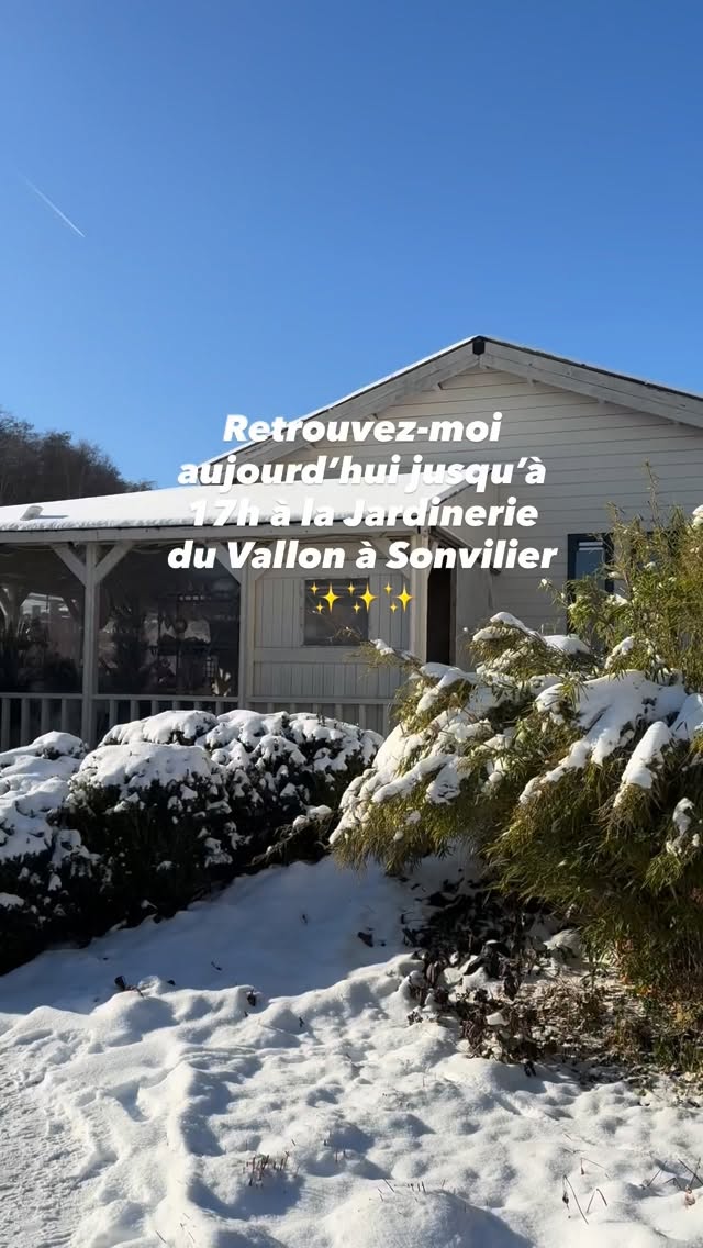 Retrouvez-moi aujourd’hui et jusqu’à 17h à mon premier marché de Noël avec tout plein de nouveautés, à la @jardinerieduvallon vers Barbara & Gaël ✨🫶🏽
#hohoho🎅🏻
